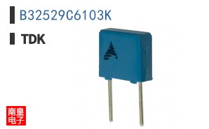 B32529C6103K