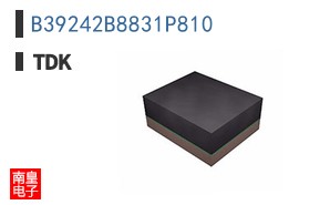 B39242B8831P810