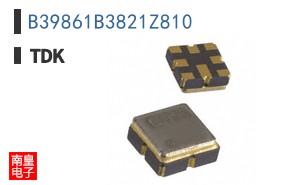 B39861B3821Z810