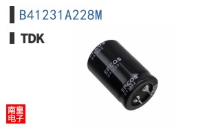 B41231A228M