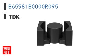 B65981B0000R095