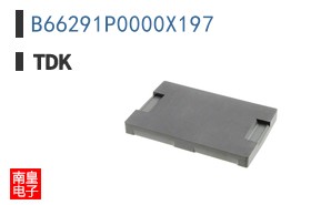 B66291P0000X197