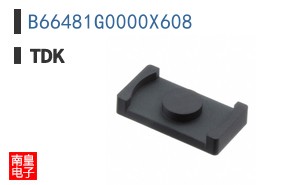 B66481G0000X608