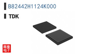 B82442H1124K000