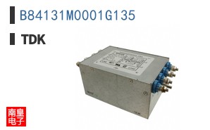 B84131M0001G135