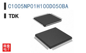 C1005NP01H100D050BA