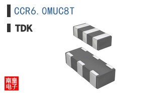 CCR6.0MUC8T