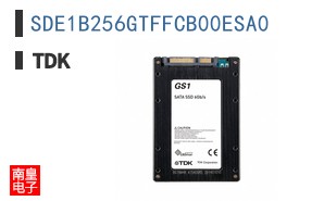 SDE1B256GTFFCB00ESA0