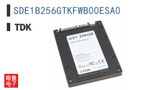 SDE1B256GTKFWB00ESA0