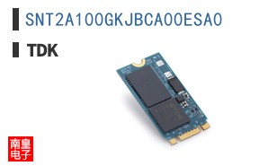 SNT2A100GKJBCA00ESA0