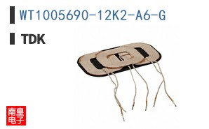 WT1005690-12K2-A6-G